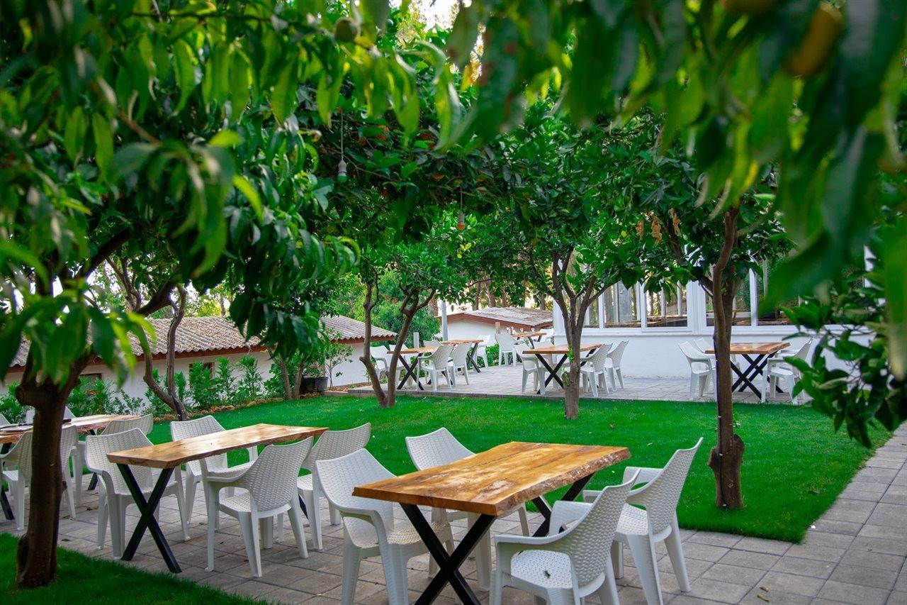 Aroma Butik Hotel Kızılot Eksteriør billede